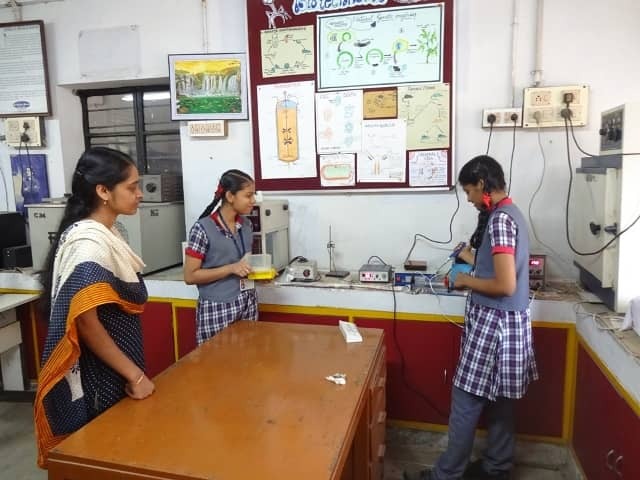 Guide to CBSE Class 11 NCERT Syllabus