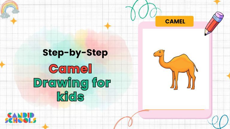Camel Drawing for Kids