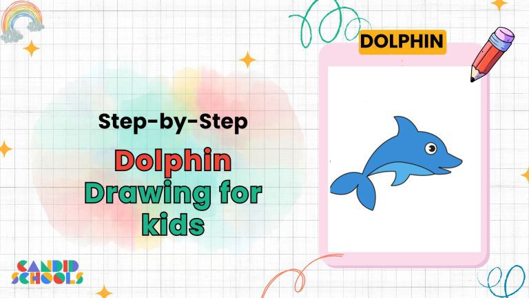 Dolphin Drawing for Kids