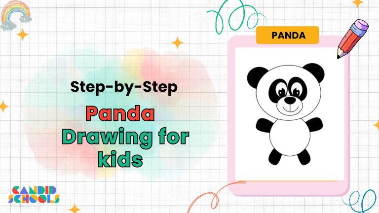Panda Drawing for Kids