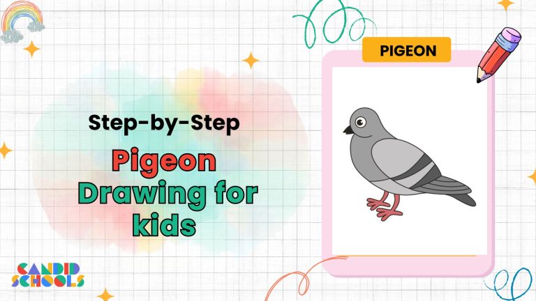 Pigeon Drawing for Kids