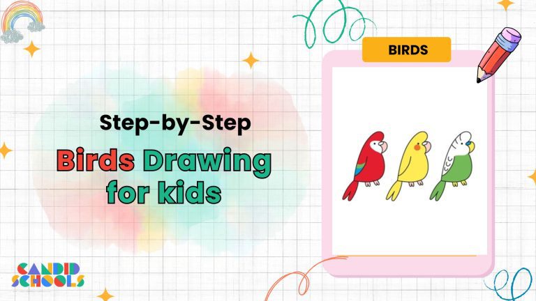Birds Drawing for Kids