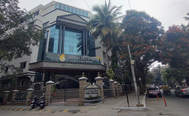 brooklyn national public school reviews